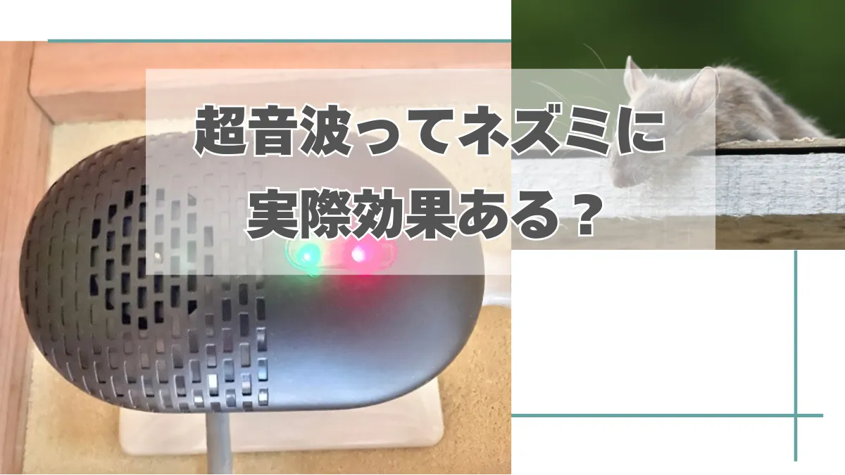 超音波ってネズミに実際効果あるの？6年使用した結果を忖度無く解説